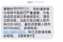 京山专业催债公司的市场需求和前景分析